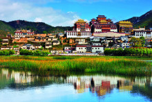 迪庆藏族自治州年平均人口(万人)